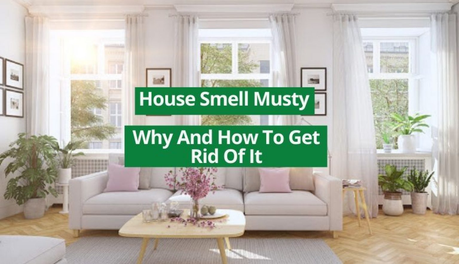 House Smell Musty Why And How To Get Rid Of It