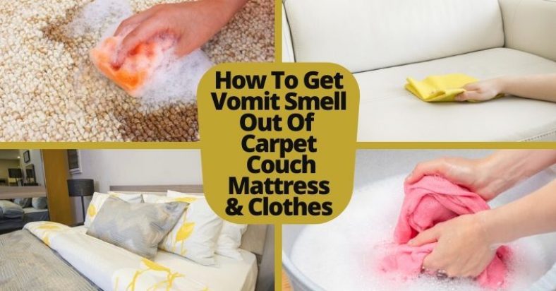 How To Get Vomit Smell Out Of Carpet, Couch, Mattress & Clothes