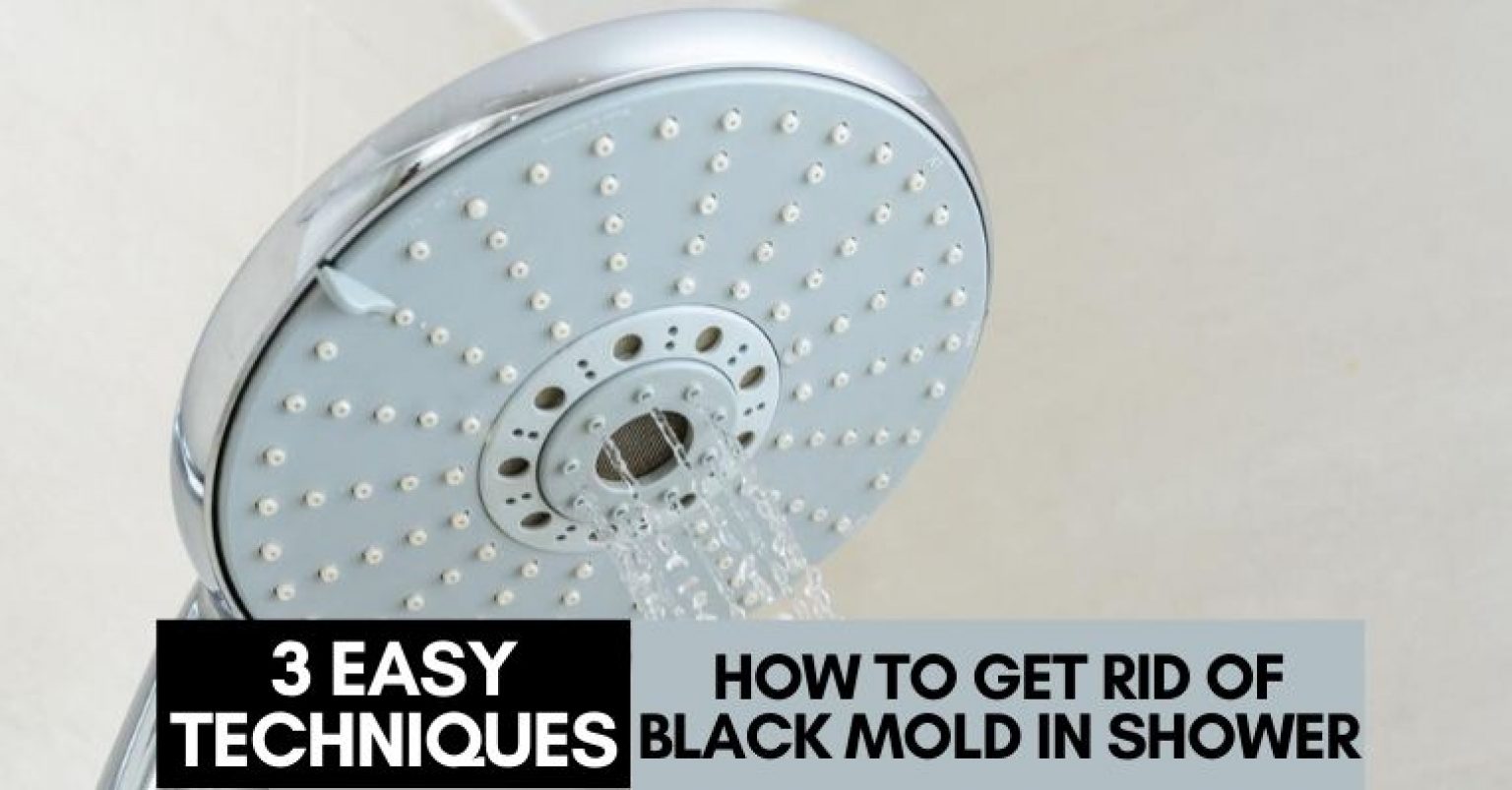 How To Get Rid Of Black Mold In Shower 3 Easy Techniques 1174