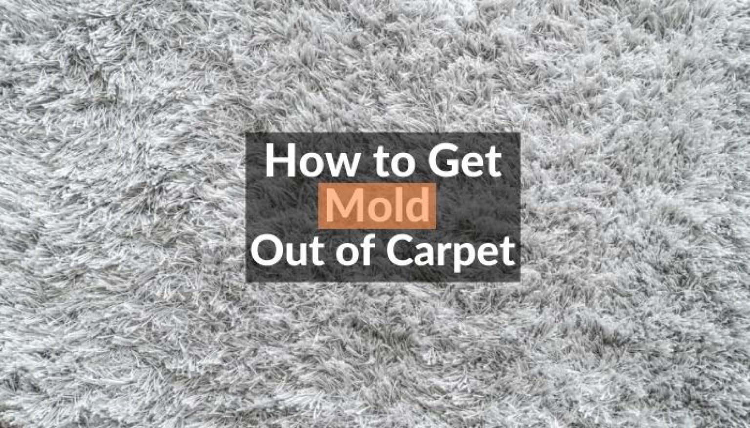 How to Get Mold Out of Carpet Easily & Naturally