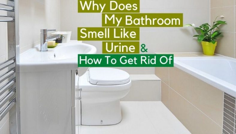 why-does-my-bathroom-smell-like-urine-how-to-get-rid-of