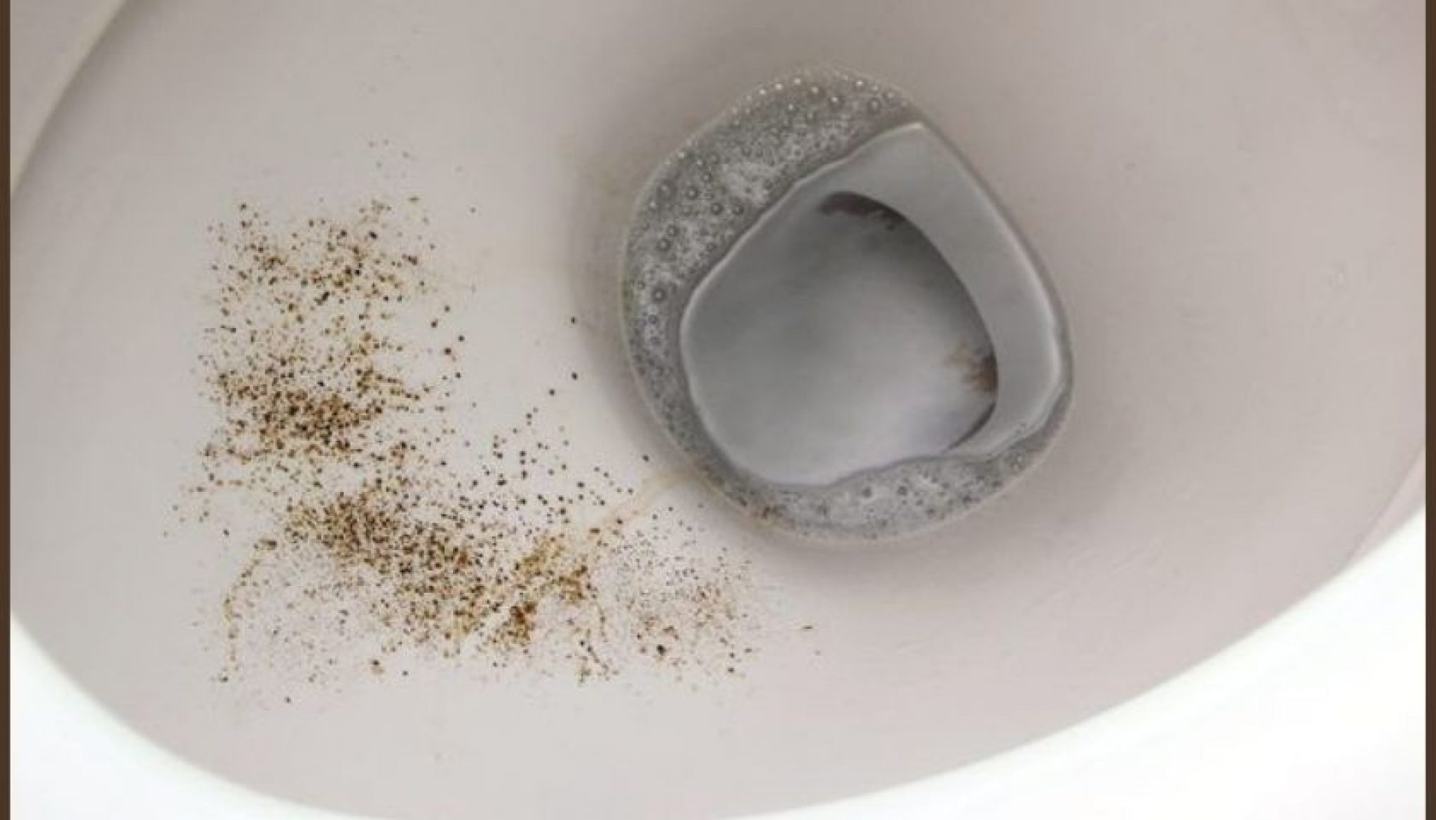 How To Remove Mold In Toilet Bowl 2048x1170 