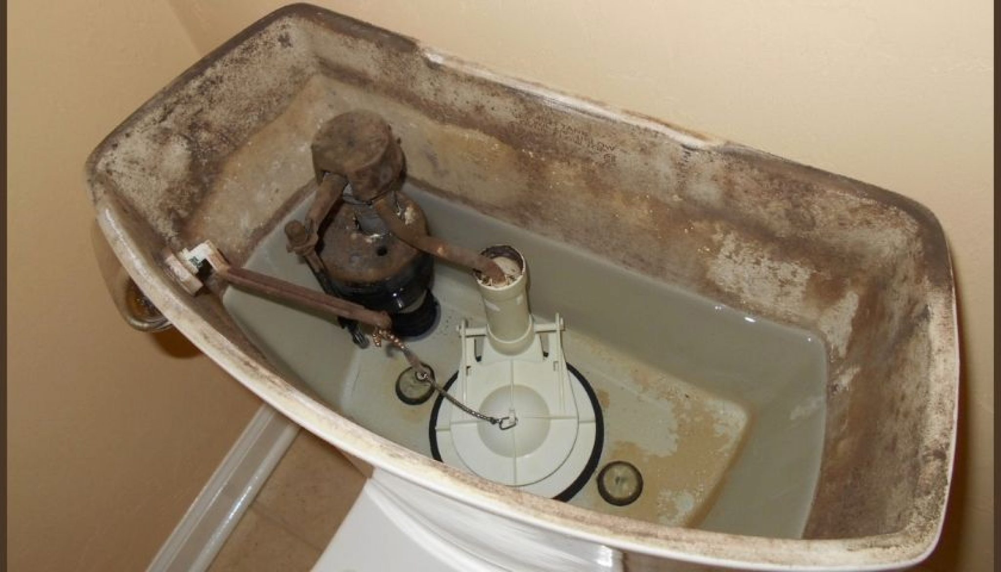 How to Get Rid of Mold in Toilet Causes & Solutions