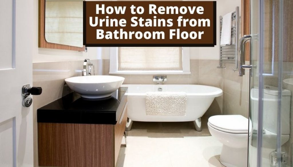 How to Remove Urine Stains from Bathroom Floor Step by Step