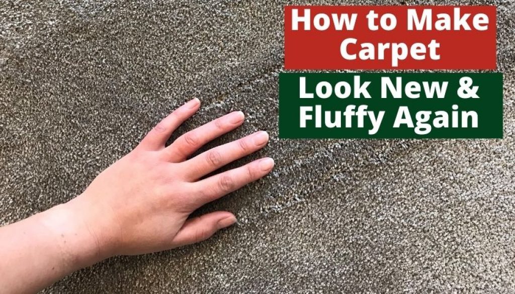 How to Make Carpet Look New and Fluffy Again Simple Guides