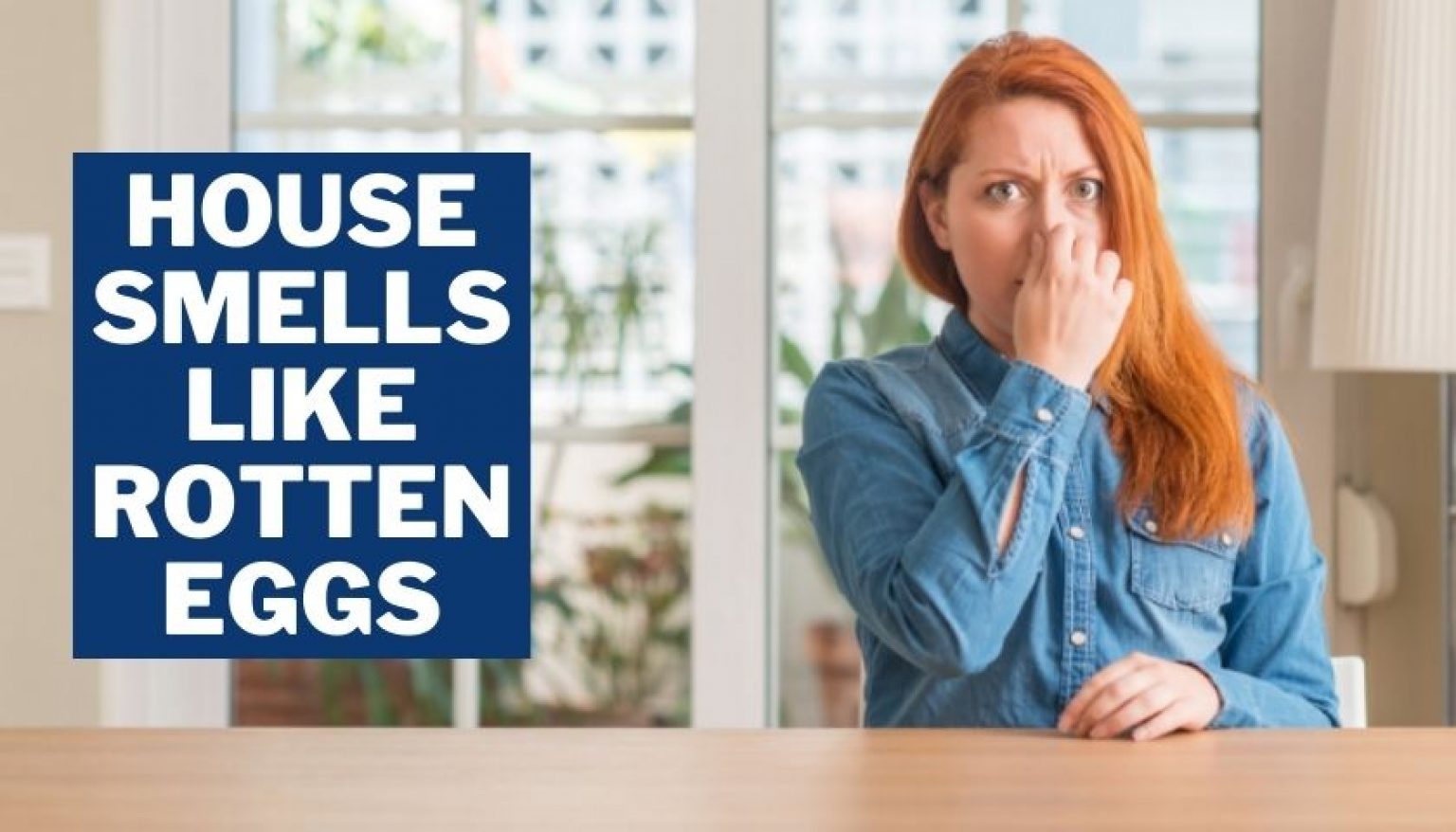 House smells Like Rotten Eggs Why & How to Get Rid of