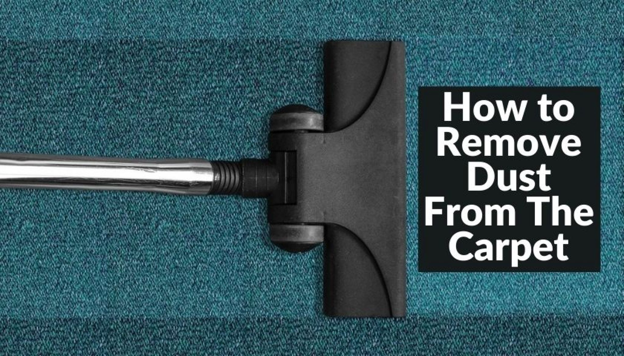 How to Remove Dust From The Carpet 5 Best & Effective Ways