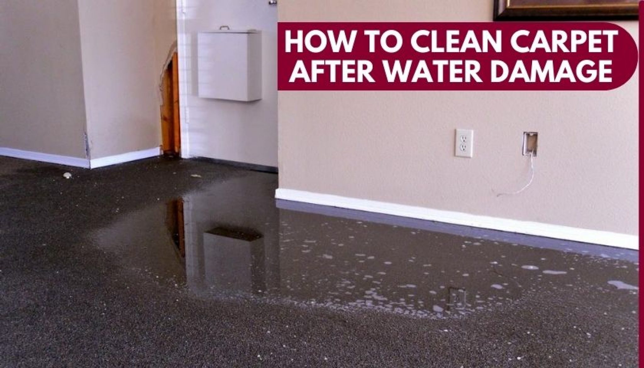 how-to-clean-carpet-after-water-damage-lasting-solutions