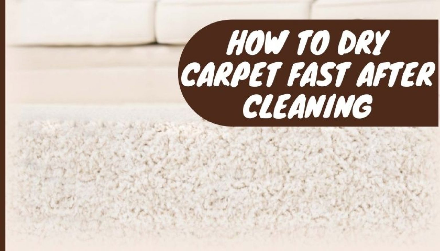 How To Dry Carpet Fast After Cleaning | Get Prompt Results