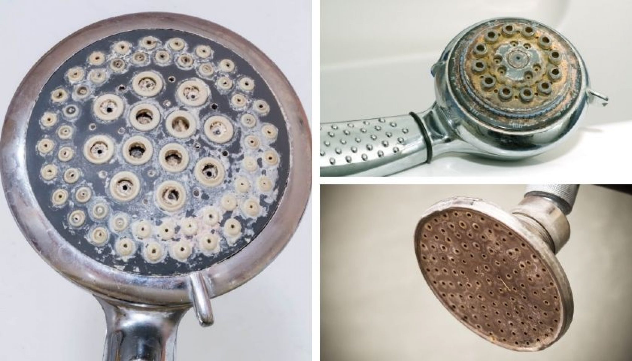 how-to-remove-limescale-rust-calcium-deposit-from-shower-head